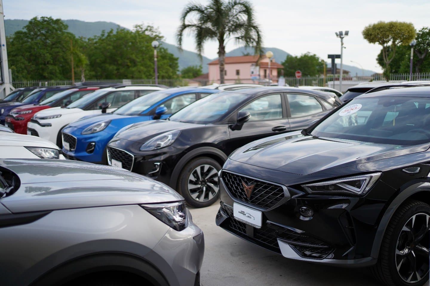 Vetture esposte nel piazzale di Luigi Carfora Group